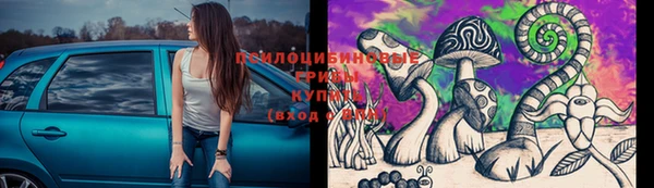 дживик Верхний Тагил
