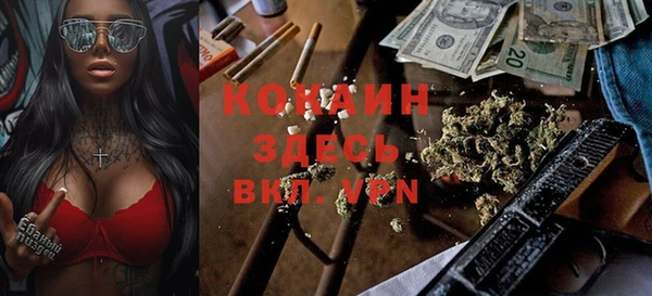 гидра Верея