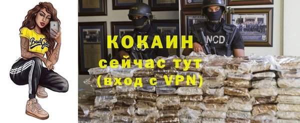 гидра Верея