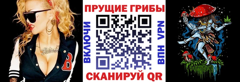 Псилоцибиновые грибы GOLDEN TEACHER  Воскресенск 